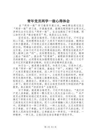 青年党员两学一做心得体会