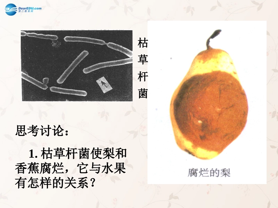 八年级生物上册 5.4.4 细菌和真菌在自然界中的作用课件1 （新版）新人教版_第3页