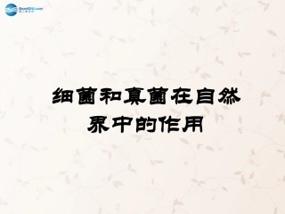 八年级生物上册 5.4.4 细菌和真菌在自然界中的作用课件1 （新版）新人教版