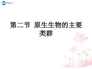 八年级生物下册 第22章 第二节 原生生物的主要类群课件3 （新版）北师大版