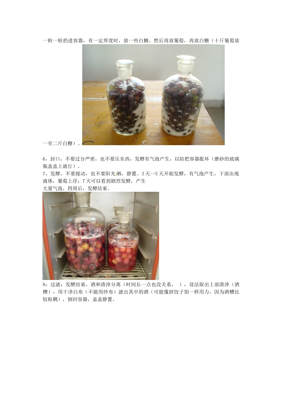 江西省信丰县黄泥中学中考生物实验汇总复习 食用葡萄酿酒教学设计_第2页