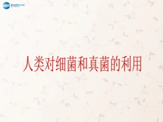 八年级生物上册 5.4.5 人类对细菌和真菌的利用课件1 （新版）新人教版