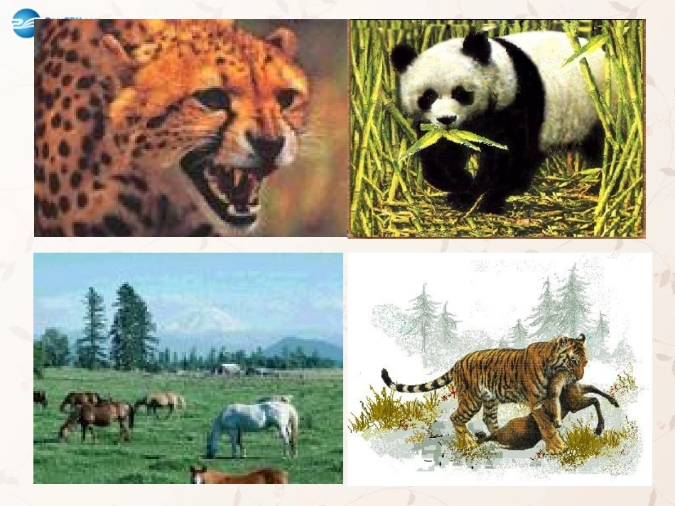 八年级生物上册 5.3 动物在生物圈中的作用课件2 （新版）新人教版_第2页