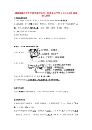 湖南省株洲市天元区马家河中学七年级生物下册《人的由来》教案 新人教版