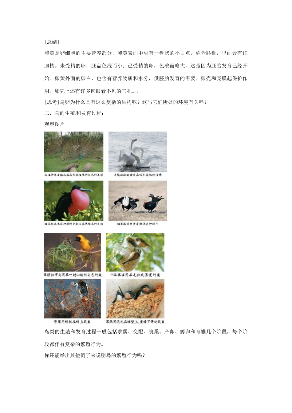 八年级生物上册 4.2.3鸟的生殖和发育教学设计 （新版）济南版-（新版）济南版初中八年级上册生物教案_第2页