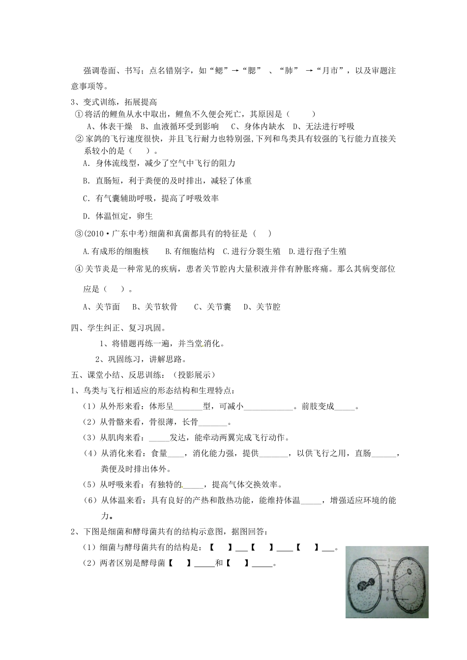 八年级生物下册 第3专题 生物圈中的动物和微生物讲评教案 济南版_第3页