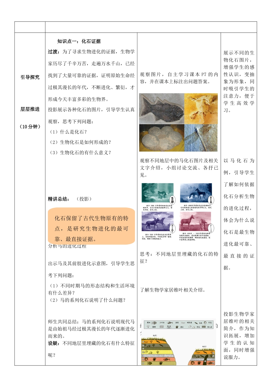 八年级生物下册 第5单元 第1章 第2节 生物进化的证据教案2 济南版_第2页