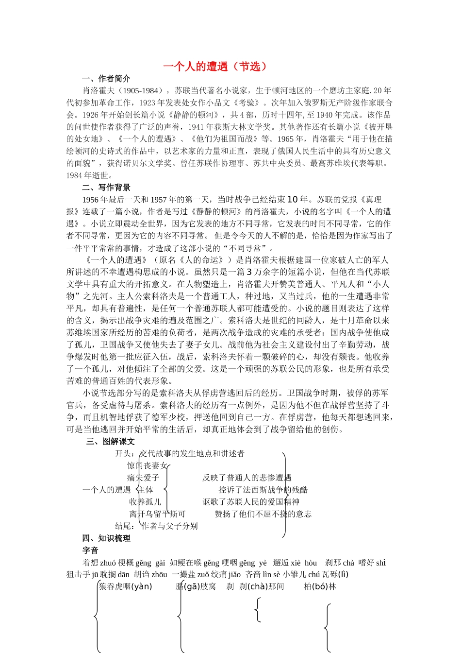 高中语文 2.6《一个人的遭遇（节选）》精品教案 苏教版必修2_第1页