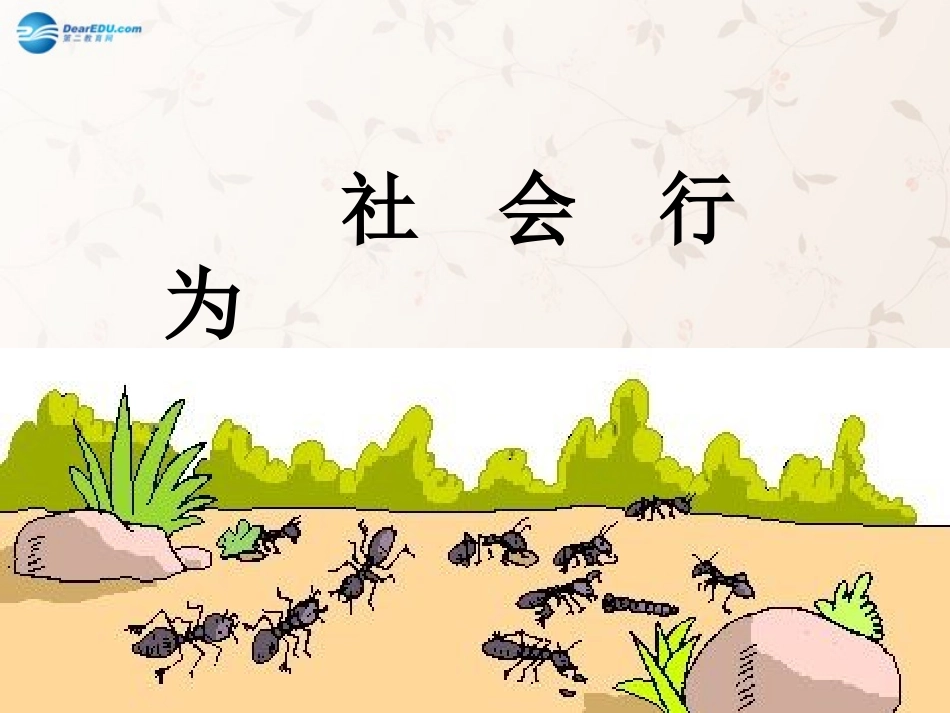 八年级生物上册 5.2.3 社会行为课件2 （新版）新人教版_第1页