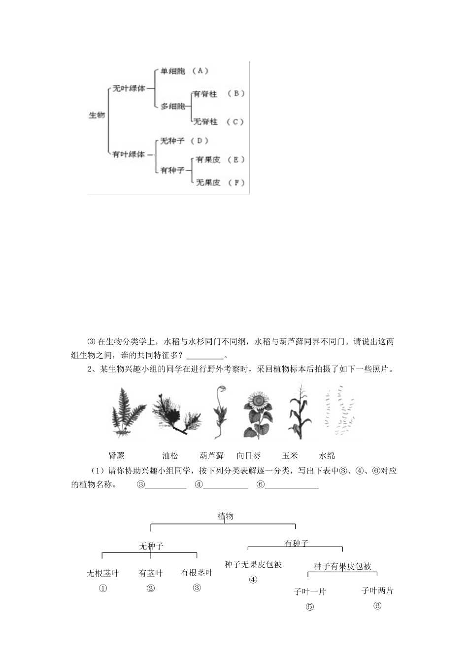 八年级生物下册 第22章 第一节 生物的分类习题2（无答案）（新版）北师大版_第2页