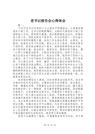 老书记报告会心得体会