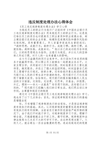 违反制度处理办法心得体会