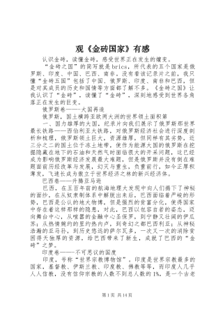 观《金砖国家》有感