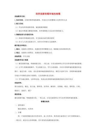 江西省信丰县黄泥中学中考生物实验汇总复习 培养观察青霉和匍枝根霉教学设计