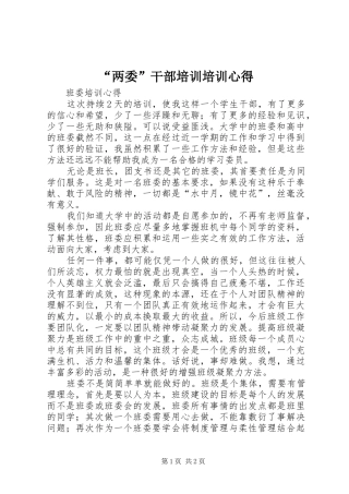 “两委”干部培训培训心得