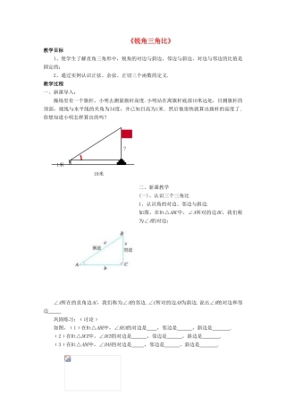 九年级数学上册 第二章 解直角三角形 2.1《锐角三角比》教案 （新版）青岛版-（新版）青岛版初中九年级上册数学教案