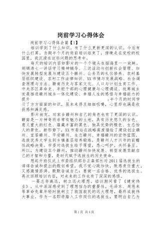 岗前学习心得体会