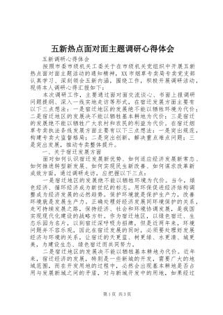 五新热点面对面主题调研心得体会