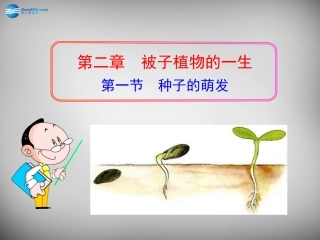 安徽省长丰县下塘实验中学七年级生物上册《3.2.1 种子的萌发》课件 （新版）新人教版
