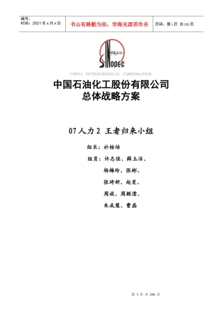 中国石油化工股份有限公司总体战略方案