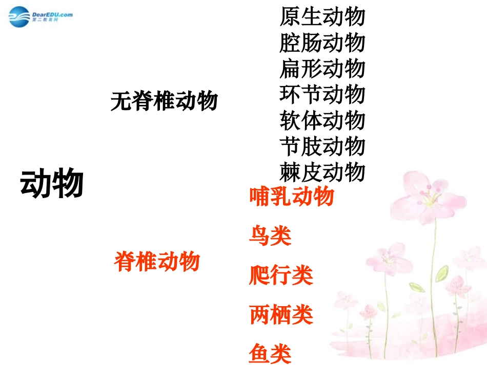 八年级生物下册 第22章 第四节 动物的主要类群课件3 （新版）北师大版_第3页