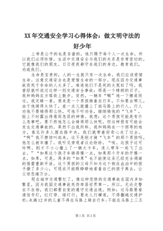 XX年交通安全学习心得体会：做文明守法的好少年