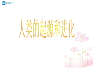 八年级生物下册 第21章 第三节 人类的起源与进化课件2 （新版）北师大版