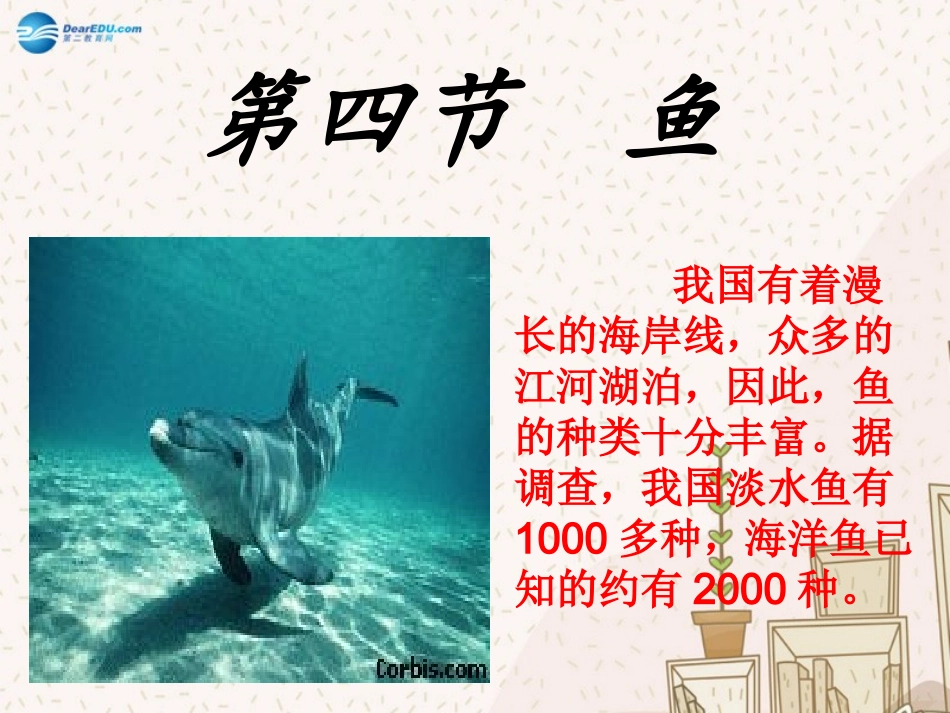 八年级生物上册 5.1.4 鱼课件 （新版）新人教版_第2页