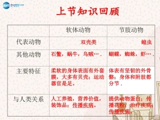 八年级生物上册 5.1.4 鱼课件 （新版）新人教版