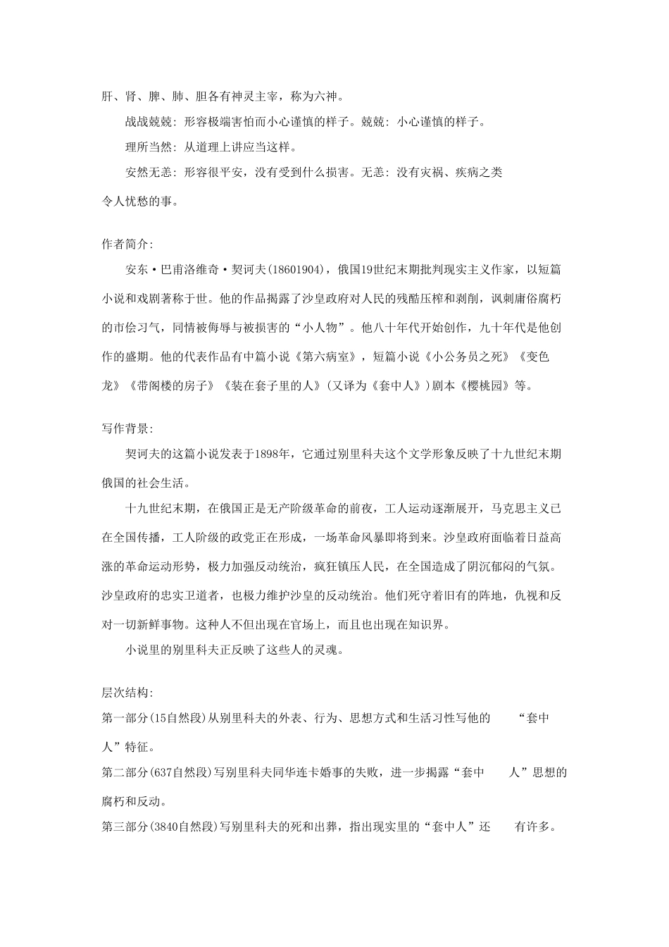 高中语文 装在套子里的人教案2 新人教版必修5_第2页