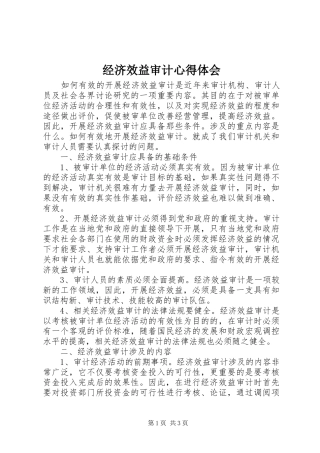 经济效益审计心得体会