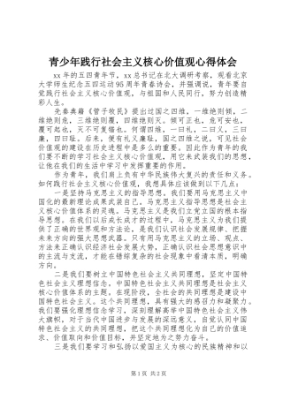 青少年践行社会主义核心价值观心得体会