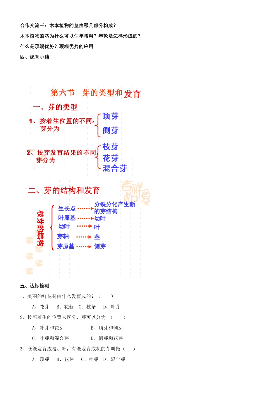 八年级生物上册 第四单元 第一章 第六节 芽的类型和发育教案 （新版）济南版-（新版）济南版初中八年级上册生物教案_第3页