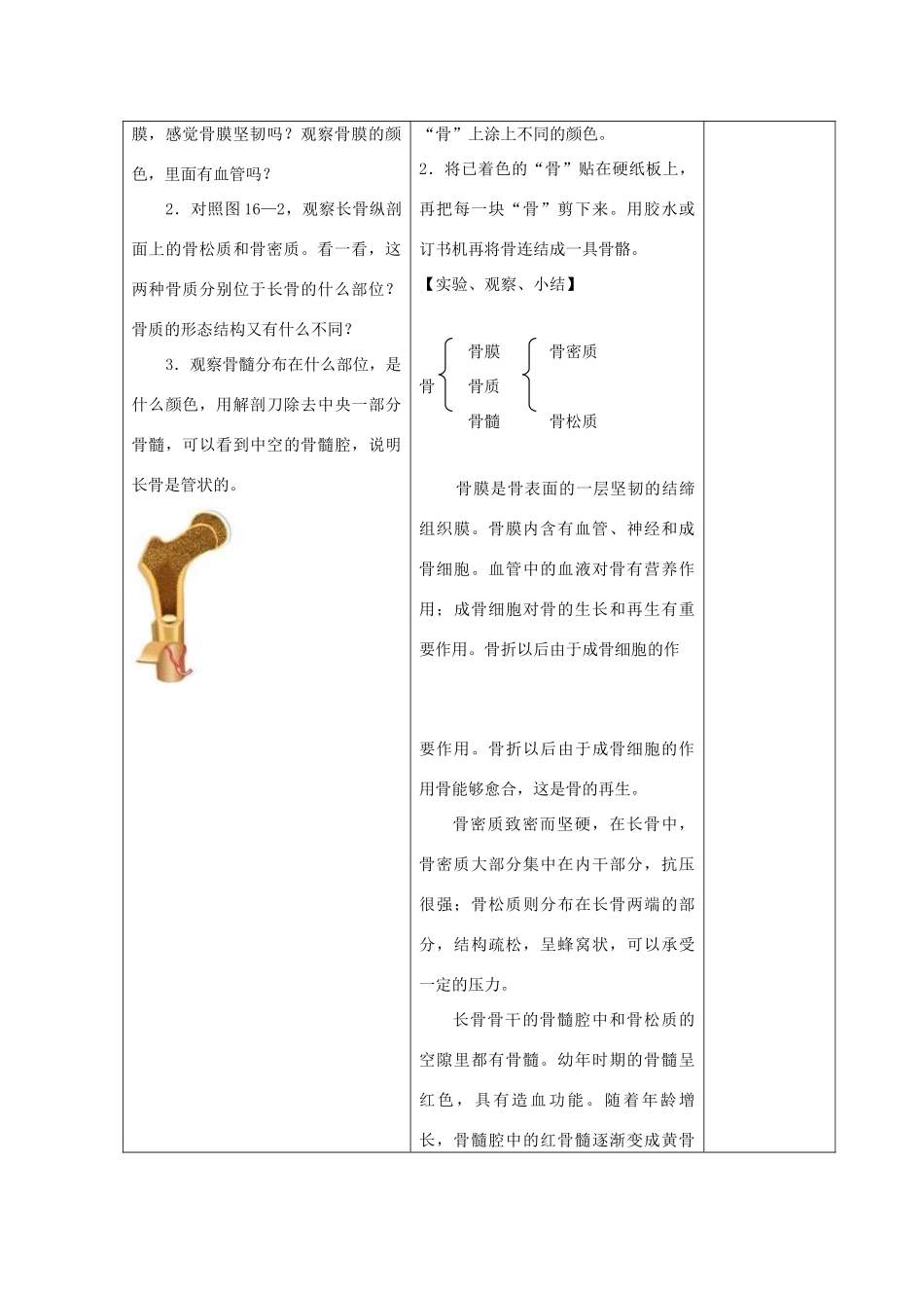 八年级生物上册 16.1《人体的支持与运动》教案 苏科版_第3页