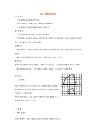 九年级数学上册 4.6 相似多边形教案 （新版）浙教版