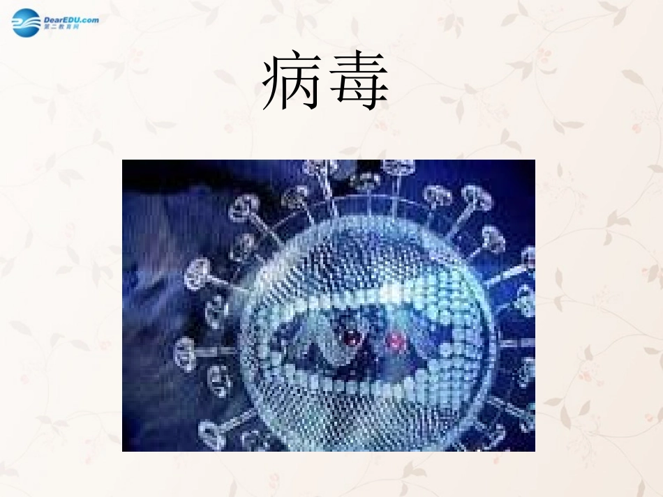 八年级生物上册 5.5 病毒课件1 （新版）新人教版_第1页