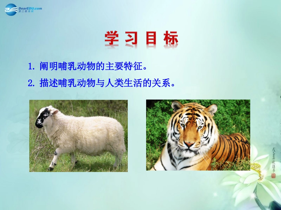 八年级生物上册 5.1.7 哺乳动物课件 （新版）新人教版_第3页