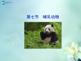 八年级生物上册 5.1.7 哺乳动物课件 （新版）新人教版