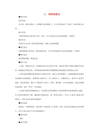高中语文 11神奇的极光（第一课时）精品教案 大纲人教版第二册