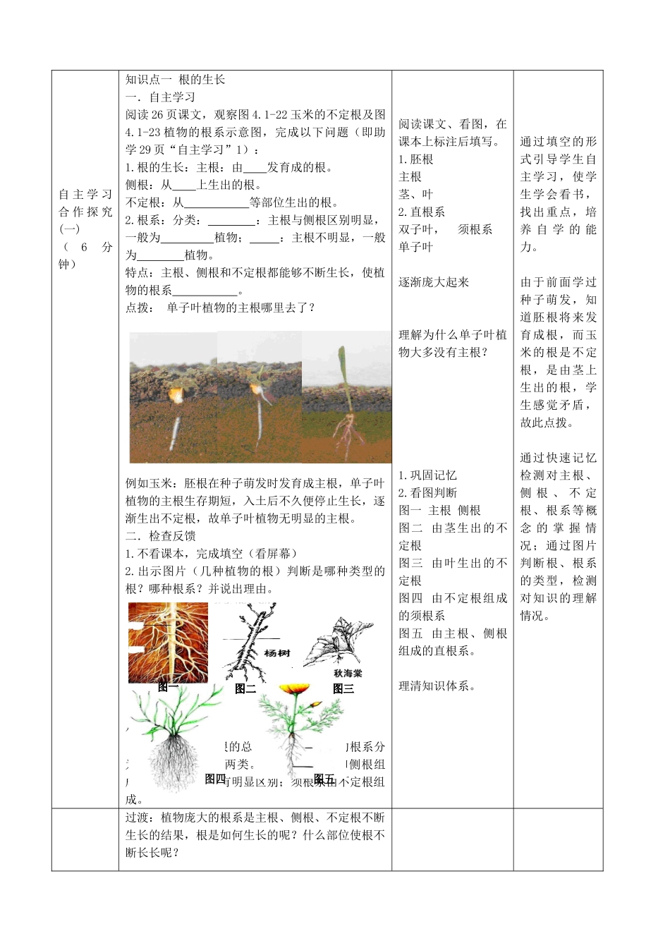 八年级生物上册 4.1.5《根的结构与功能》教案1 （新版）济南版-（新版）济南版初中八年级上册生物教案_第2页
