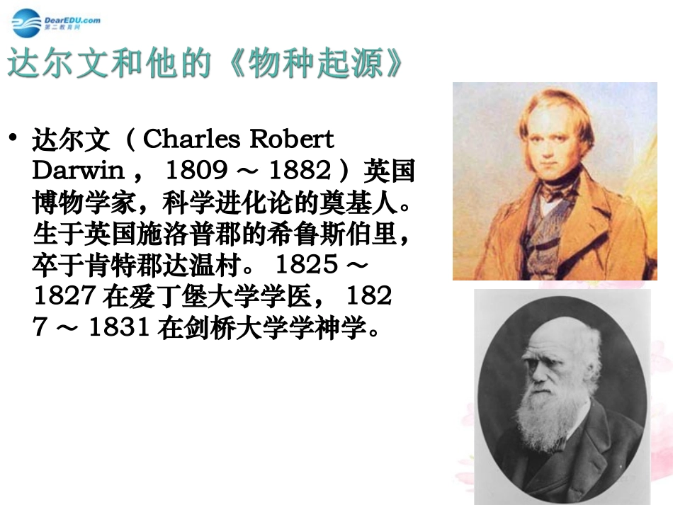 八年级生物下册 第21章 第二节 生物的进化课件3 （新版）北师大版_第2页