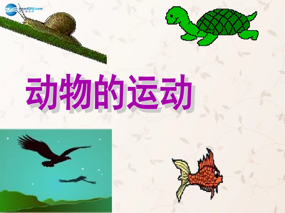 八年级生物上册 5.2.1 动物的运动课件1 （新版）新人教版_第1页