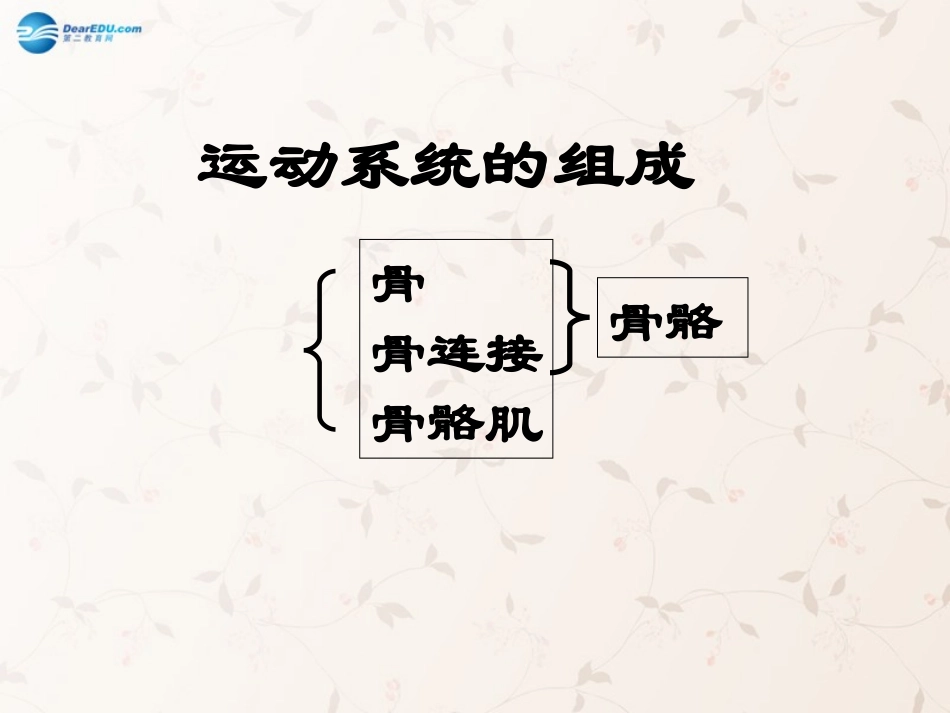 八年级生物上册 5.2.1 动物的运动课件1 （新版）新人教版_第2页