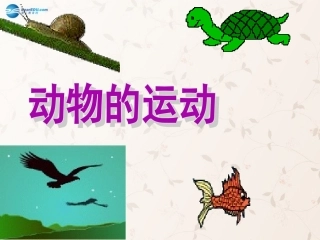 八年级生物上册 5.2.1 动物的运动课件1 （新版）新人教版