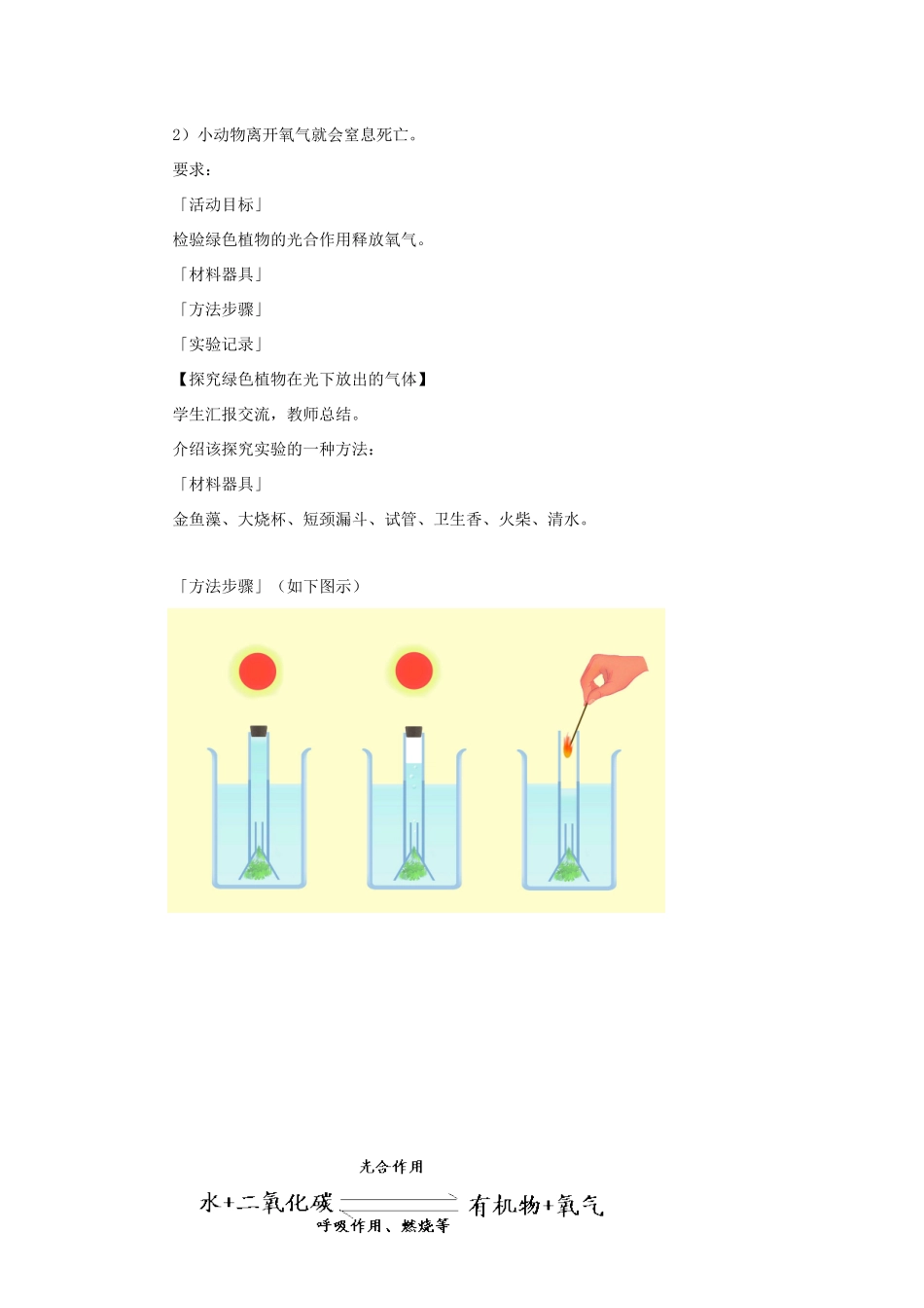 八年级生物上册 6.18.2《绿色植物与生物圈中的碳—氧平衡》教案1 （新版）苏科版-（新版）苏科版初中八年级上册生物教案_第3页