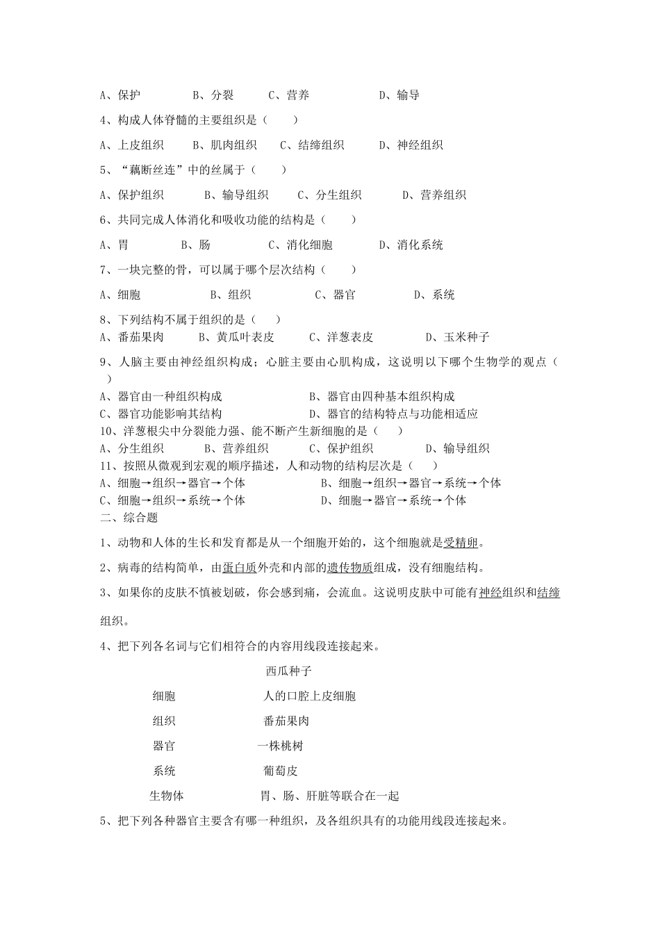 湖北省襄阳市第四十七中学九年级生物 考点六 生物体的结构层次教学案_第3页