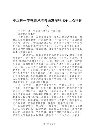 中卫进一步营造风清气正发展环境个人心得体会