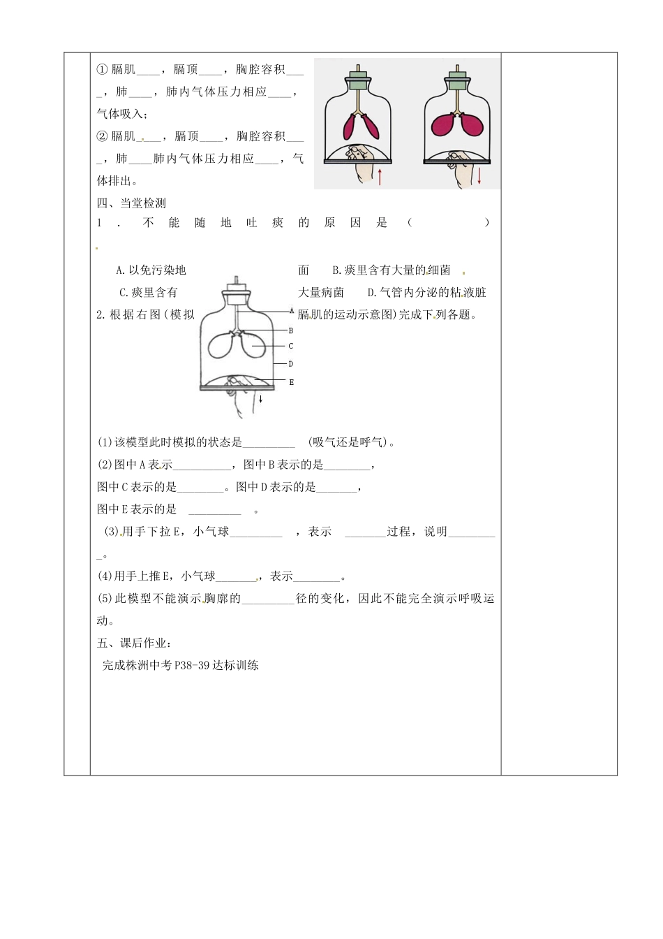 湖南省茶陵县世纪星实验学校八年级生物复习《第11讲 人体的呼吸》教案（1） 人教新课标版_第2页