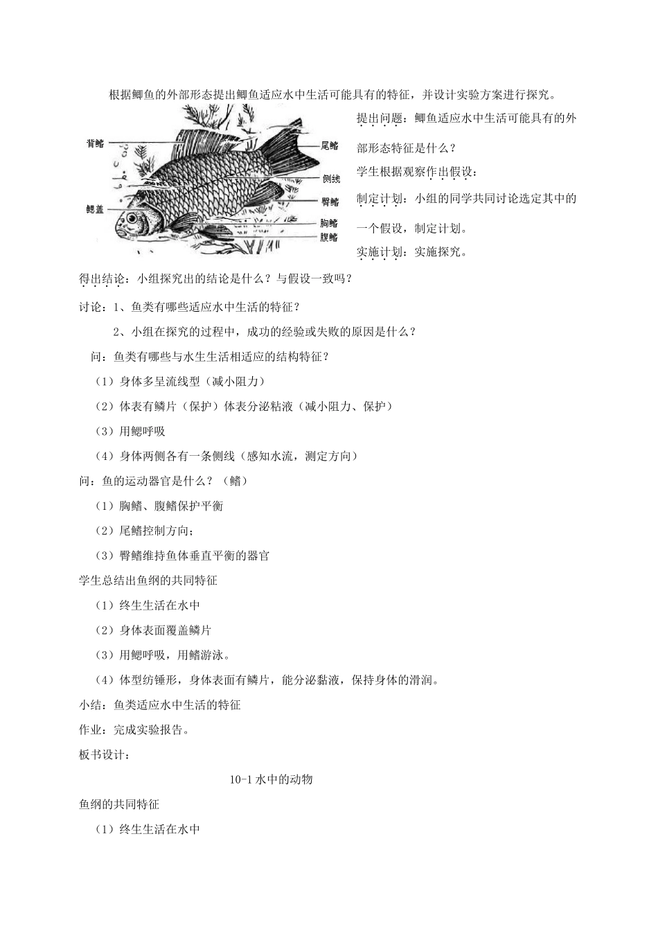 【苏科版七年级下册】第10章 水中的生物：10-1水中的动物（1）_第2页