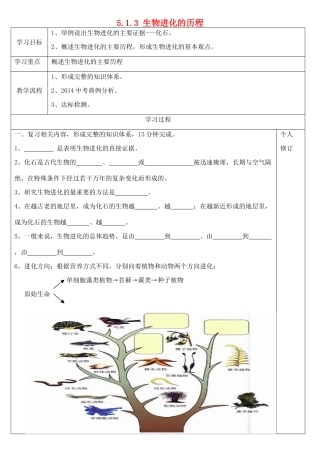 八年级生物下册 5.1.3 生物进化的历程导学案（无答案）（新版）济南版